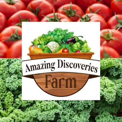amazing discoveries farm 2 (2) 500 wp