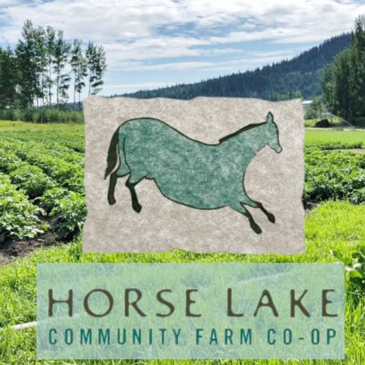 horse lake community farm co op logo