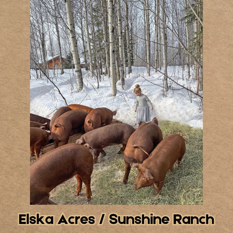 vendor directory Elska Sunshine Laffer Pork v2